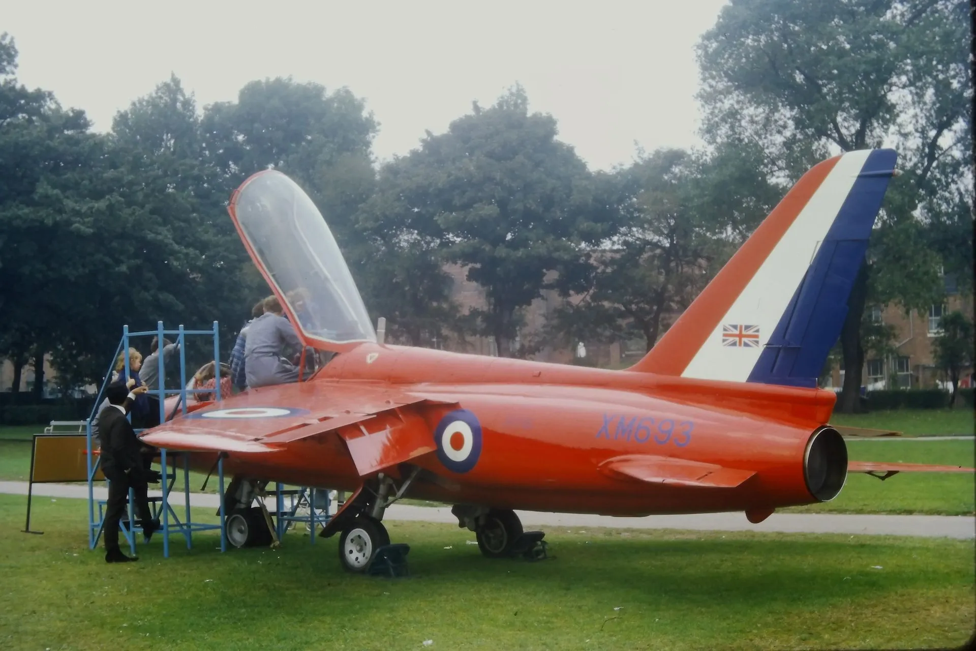 Gnat